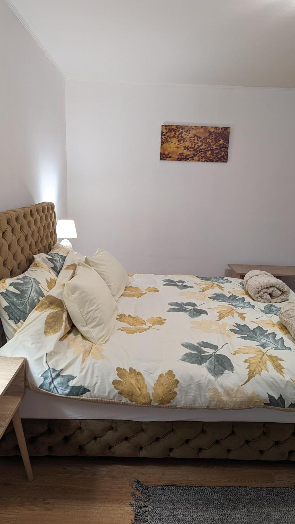A&M Apartmani Subotica Extérieur photo